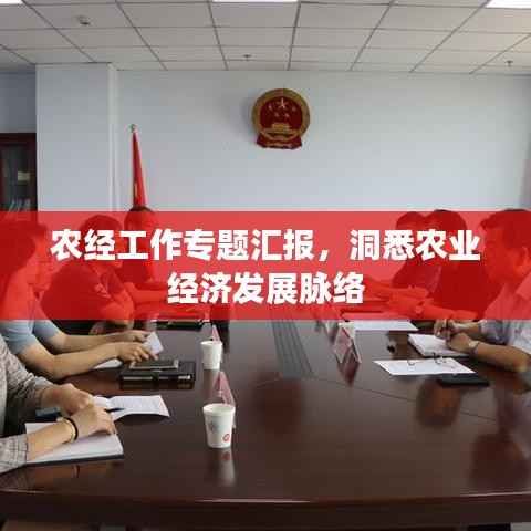农经工作专题汇报,洞悉农业经济发展脉络