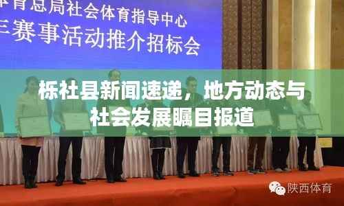 栎社县新闻速递,地方动态与社会发展瞩目报道