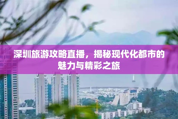 深圳旅游攻略直播,揭秘现代化都市的魅力与精彩之旅