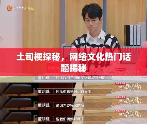 土司梗探秘,网络文化热门话题揭秘