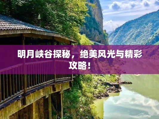 明月峡谷探秘,绝美风光与精彩攻略!