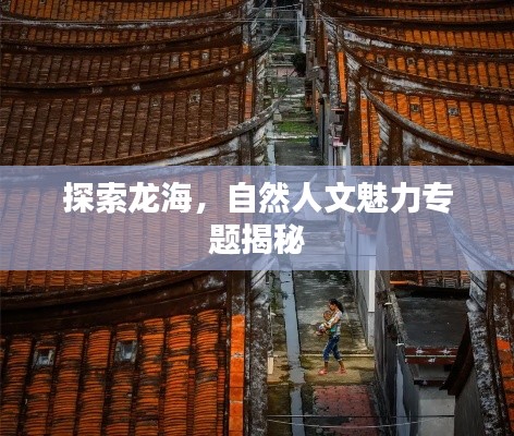 探索龙海,自然人文魅力专题揭秘