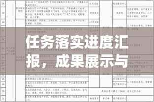 任务落实进度汇报，成果展示与行动剖析