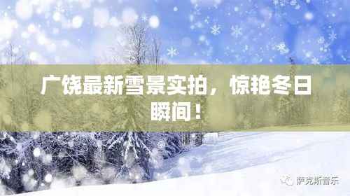 广饶最新雪景实拍,惊艳冬日瞬间!