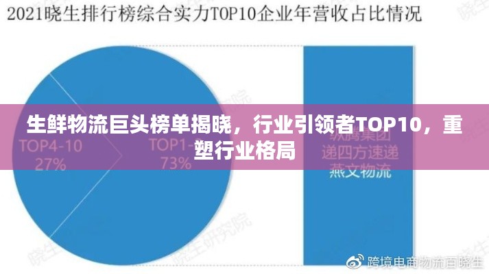 生鲜物流巨头榜单揭晓,行业引领者TOP10,重塑行业格局