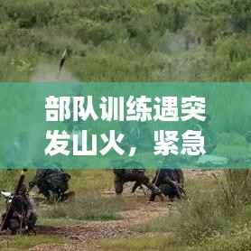 部队训练遇突发山火,紧急应对与反思启示