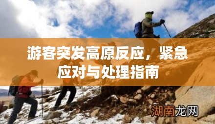 游客突发高原反应,紧急应对与处理指南