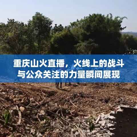 攀高结贵 第2页