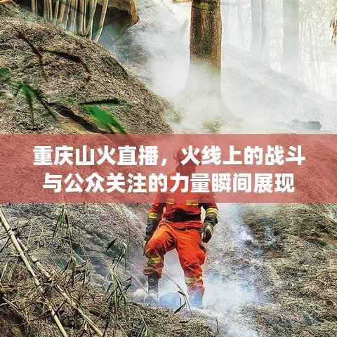 重庆山火直播,火线上的战斗与公众关注的力量瞬间展现