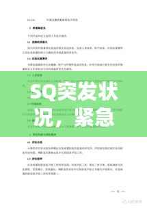 SQ突发状况,紧急应对与处理