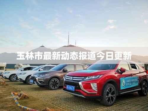 玉林市最新动态报道今日更新