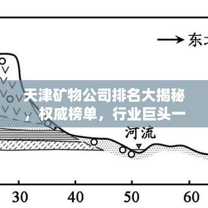 天津矿物公司排名大揭秘，权威榜单，行业巨头一网打尽！