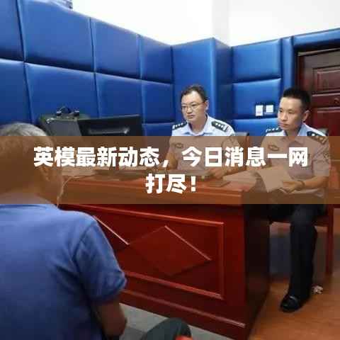 英模最新动态，今日消息一网打尽！