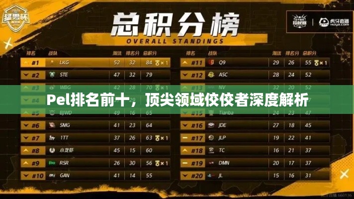Pel排名前十，顶尖领域佼佼者深度解析