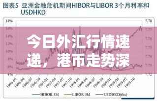 今日外汇行情速递,港币走势深度解析