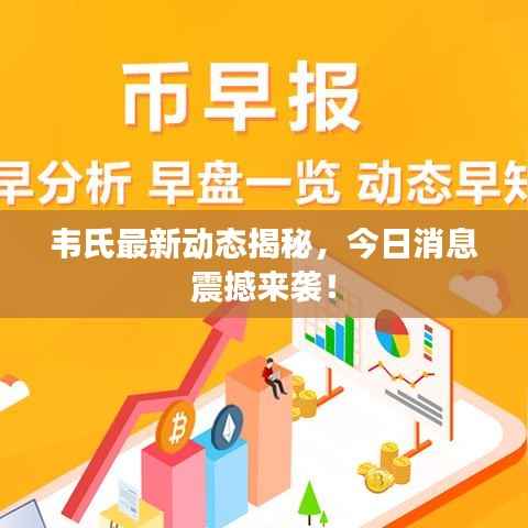 韦氏最新动态揭秘,今日消息震撼来袭!