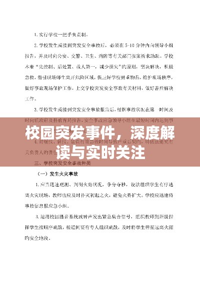 校园突发事件，深度解读与实时关注