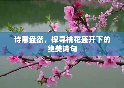 诗意盎然,探寻桃花盛开下的绝美诗句