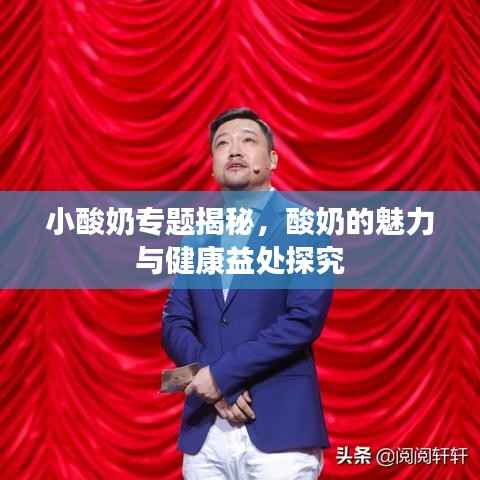 小酸奶专题揭秘,酸奶的魅力与健康益处探究