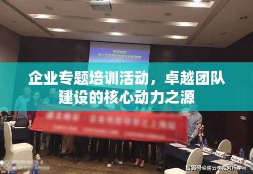 企业专题培训活动,卓越团队建设的核心动力之源
